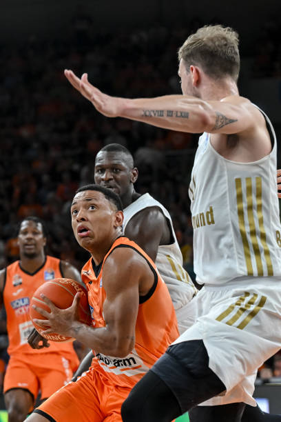 广东华南虎 广东华南虎